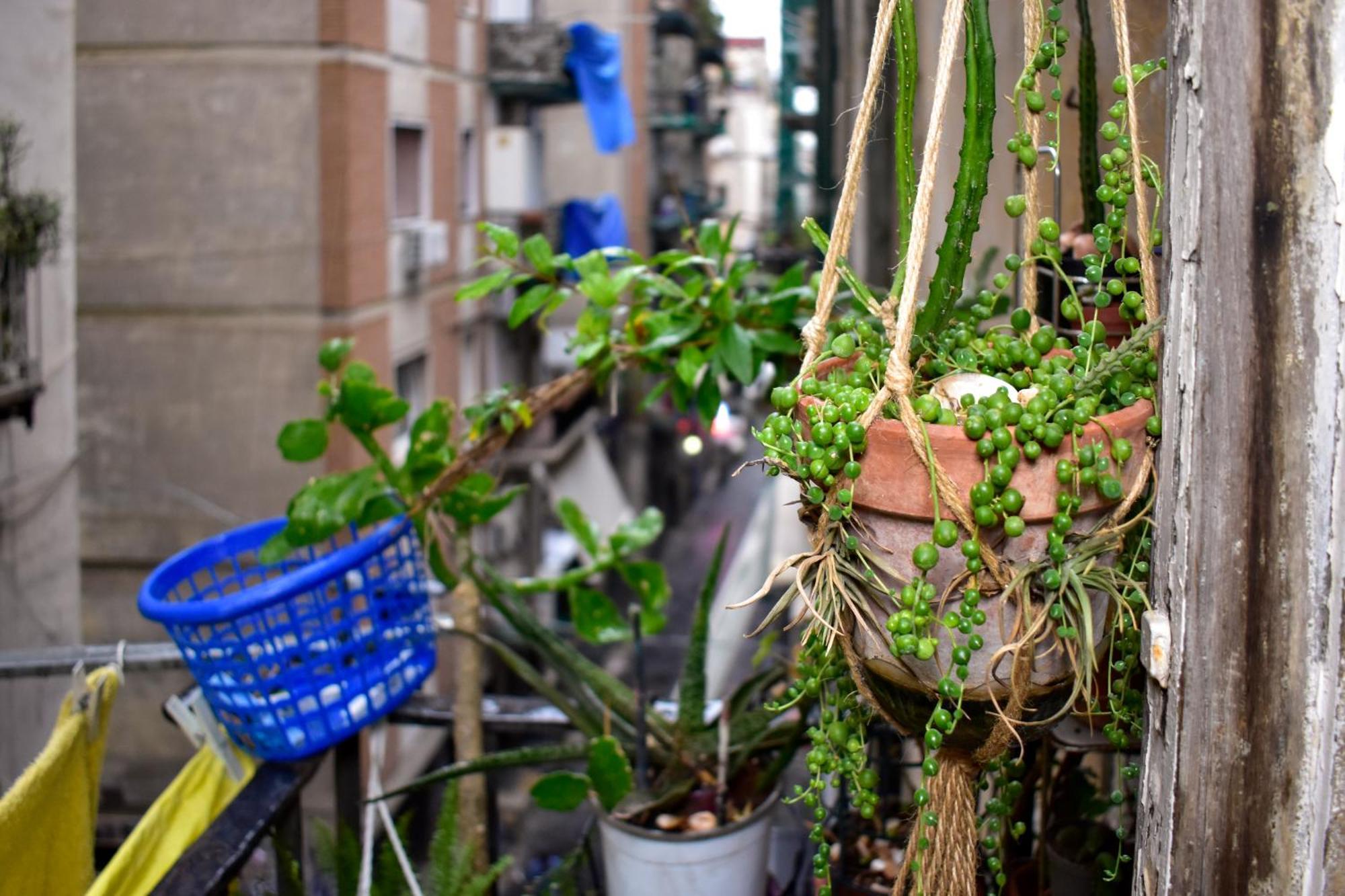 Bed & Breakfast Bed-letto-cama In Shared Condivisa Napoli